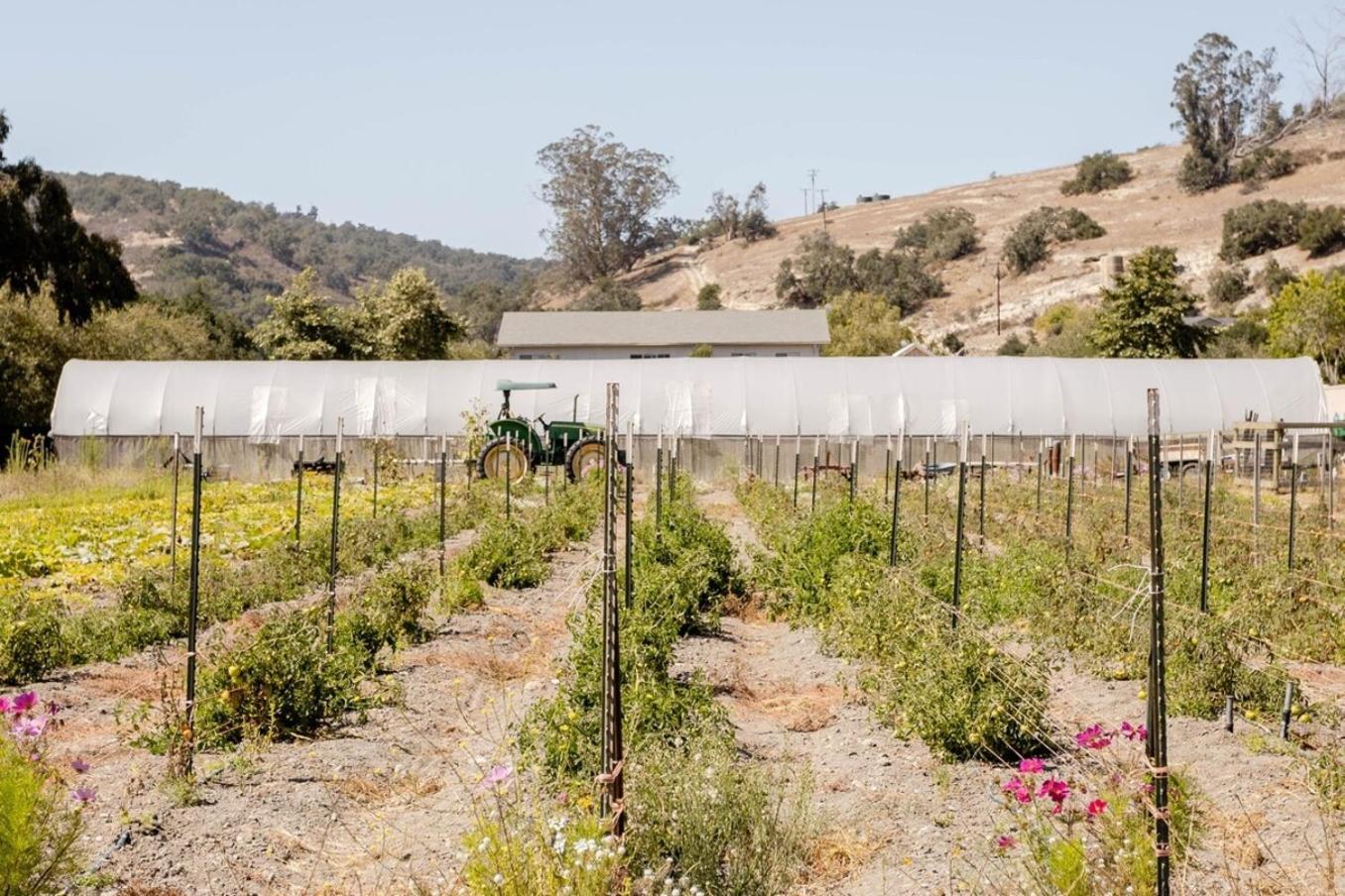 Wild Hair Studio-Stylish Farm Stay W Ev Charger Arroyo Grande Εξωτερικό φωτογραφία